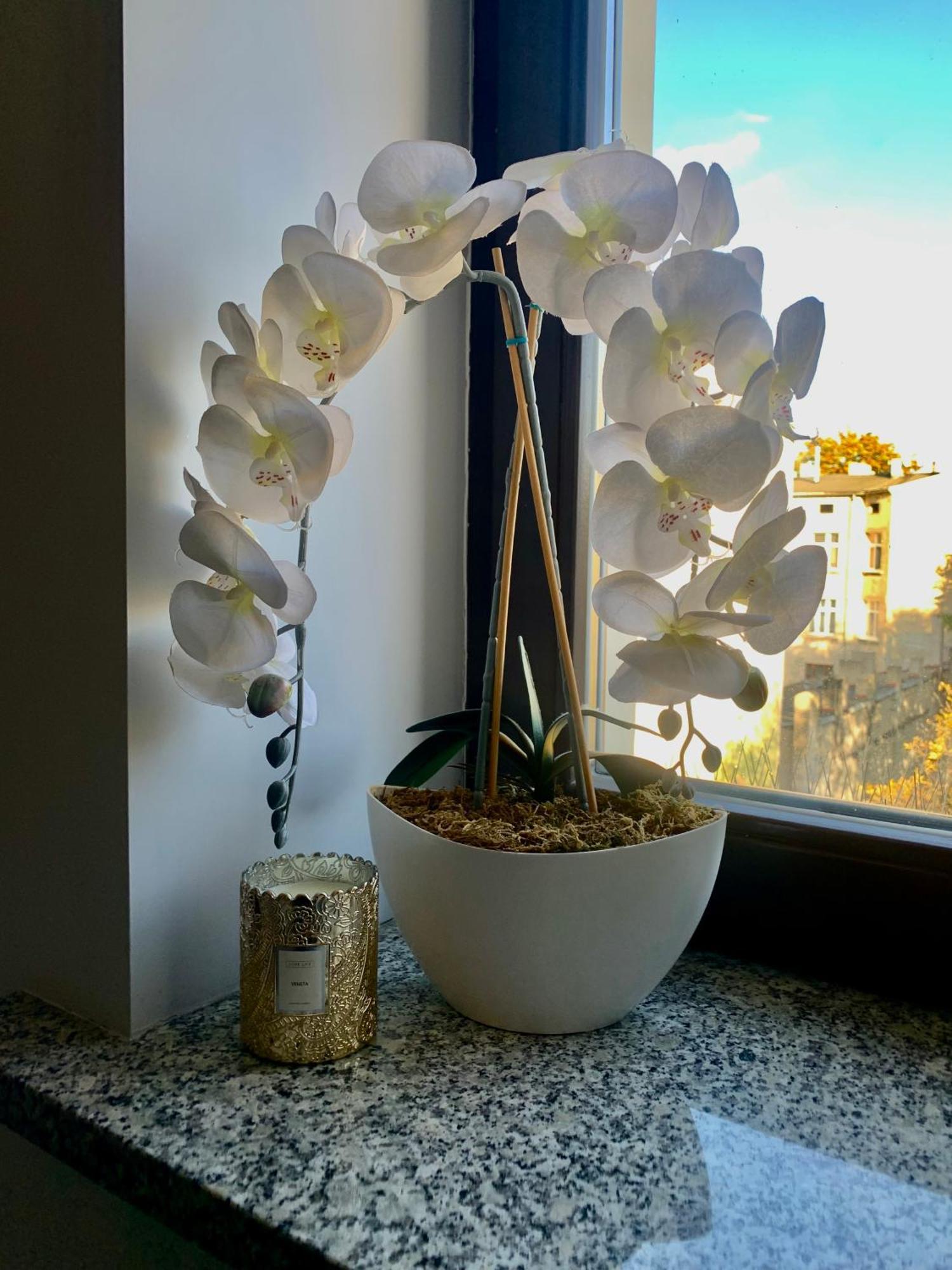 Apartment Kilinskiego Street Лодз Екстериор снимка